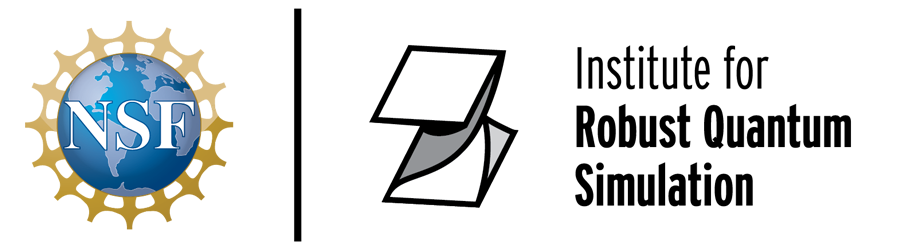 Institute for Robust Quantum Simulation (RQS)
