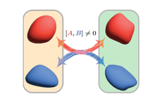 Explains about Quantum Simulations Face the Environment